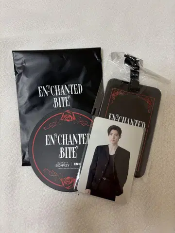 성훈 ENHYPEN 애프터눈 티 콜라보