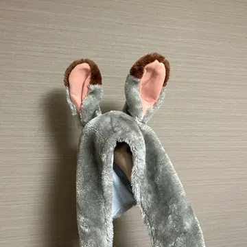 팬캡