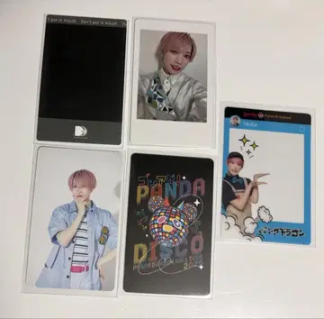 팬더드래곤 타이거 하피카