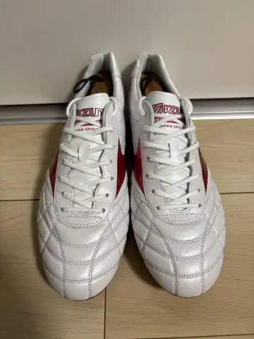 28.5 모레리아 II JAPAN AG