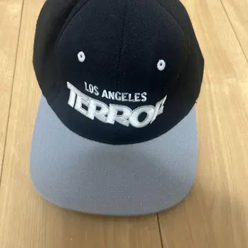 terror 야구 모자