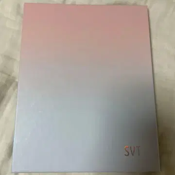 SEVENTEEN 캐럿 1기 트레이딩 카드 파일
