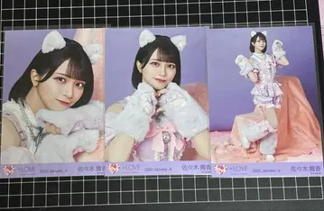 이코라브 사사키 마이카 고양이 의상 브로마이드 컴프