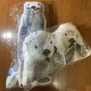 도바 수족관 메이 키라 쿠션 x 2