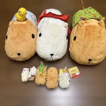 카피바라 씨 봉제 인형 세트