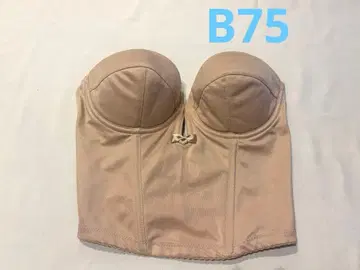 브라이덜 블루 숏 뷔스티에 B75 bloom 브라이덜 이너