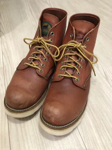 레드윙 반원 개 택 8166