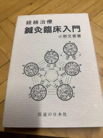 경락 치료 침구 임상 입문 오노 후미에 저