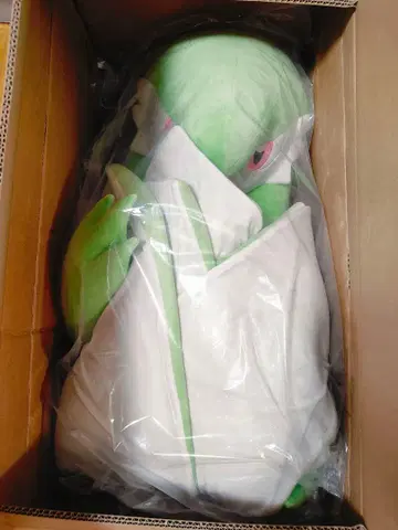 등신대 봉제 인형 포켓몬 센터 온라인
