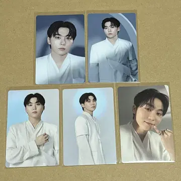 트레이딩 카드