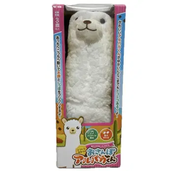 산책 알파카 군