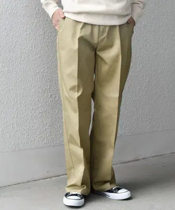 SHIPS any 별주 Dickies 874 T/C 트윌 치노 팬츠