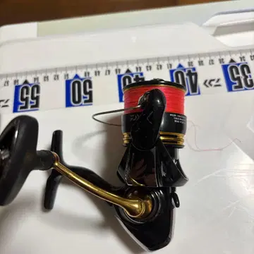DAIWA LEGALIS LT3000D-C