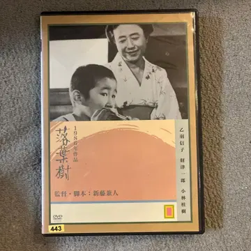 낙엽수 DVD