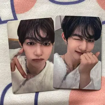 ZB1 패배 승리 B상 앗치무이테호이 장하오 트레이딩 카드 2장