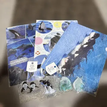 고베 스마 시월드 카모가와 시월드 토바 수족관 범고래 파일