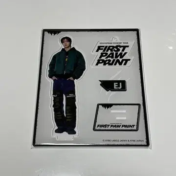 &TEAM EJ 위주 아크릴 스탠드 파우치