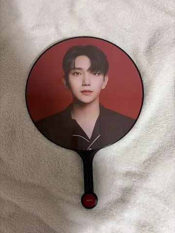 SEVENTEEN Power of love 조슈아 부채