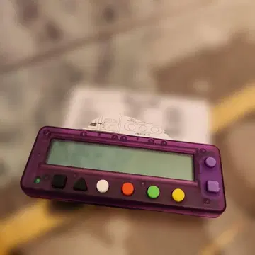 카치카치군 퍼플 보라색