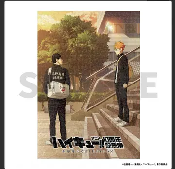 하이큐 1000피스 퍼즐 10주년 기념전