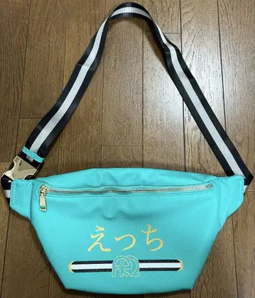 FR2 월도 오키나와 한정판 에치 숄더백