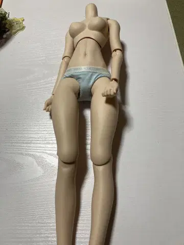 돌피드림 보크스 바디