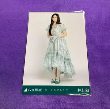 이노우에 와카나 네이블 오렌지 브로마이드 히키