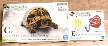 파충류 & 양서류 vol.2 C상 E상 헤르만육지거북 팬서카멜레온