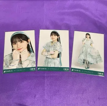 카와사키 사쿠라 네이블 오렌지 브로마이드 컴프