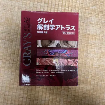 그레이 해부학 아틀라스 제2판
