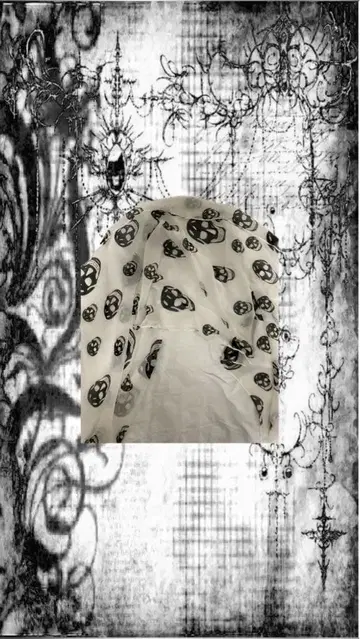 Alexander McQueen 스톨