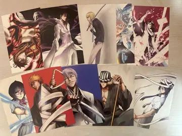 BLEACH THE LOCUS OF BRAVE 봉투 포함 엽서 세트
