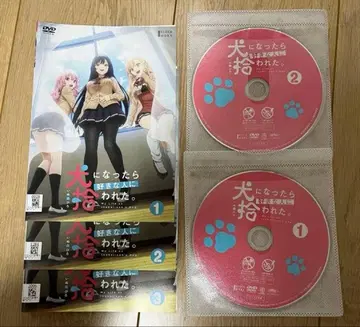 개가 되었더니 좋아하는 사람에게 주워졌다 렌탈 DVD 전권 세트