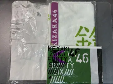 케야키자카46 돗자리 외 굿즈 3점