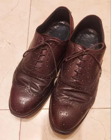 스코치 그레인 26 EE