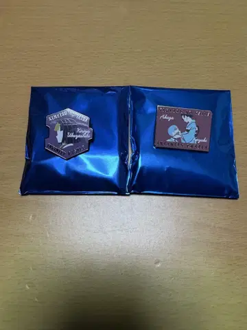 귀멸의 칼날 핀즈 세트