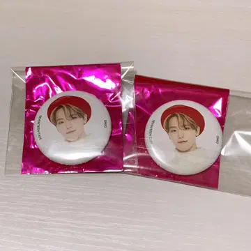 SEVENTEEN 디노 캔뱃지