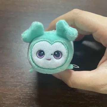TWICE MISAMO 미브리 쿠츠키 참