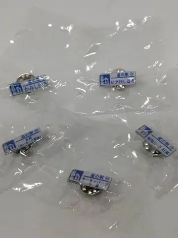 미치노에키 핀즈