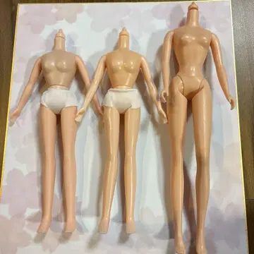 새상품 리카짱 해시태그 바디 노멀 바디 3점