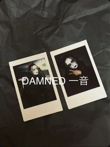 DAMNED 일음 폴라로이드