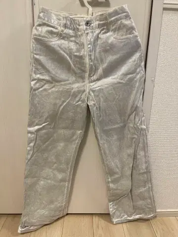 Ray BEAMS 실버 플레어 팬츠