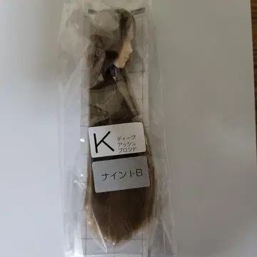 육분의 일 남자 도감 식모 블랭크 헤드 나인
