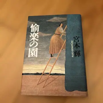 아리모토 토시오 그림 덧옷, 유락노원 미야모토 테루 새상품급