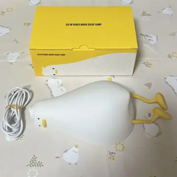 LIE IN PEACE DUCK LAMP 룸 라이트 전기 라이트 새