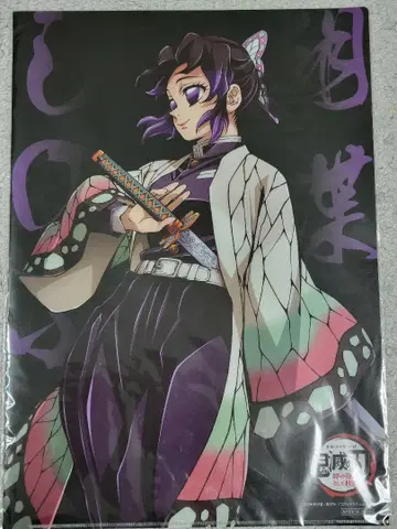 귀멸의 칼날 월드 투어 런치 매트 케이스 키 비주얼 코쵸우 시노부