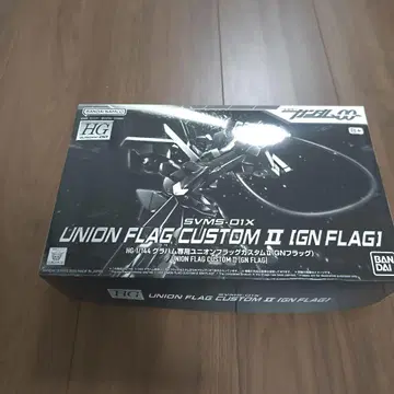 HG 1/144 UNION FLAG CUSTOM II (GN FLAG)