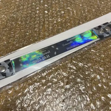 트위스테 브레이징 주얼 회장 참 DAY1