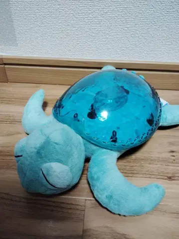 아쿠아 터틀 cloudb 클라우드비 봉제 인형 거북이 아기