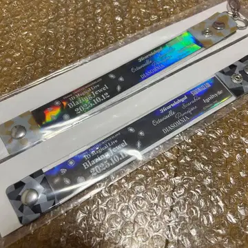 트위스테 브레이징 주얼 회장 참 DAY1 DAY2